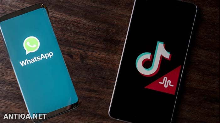 WhatsApp дунёдаги энг оммавий мобил дастур мақомини TikTok’га бой берди