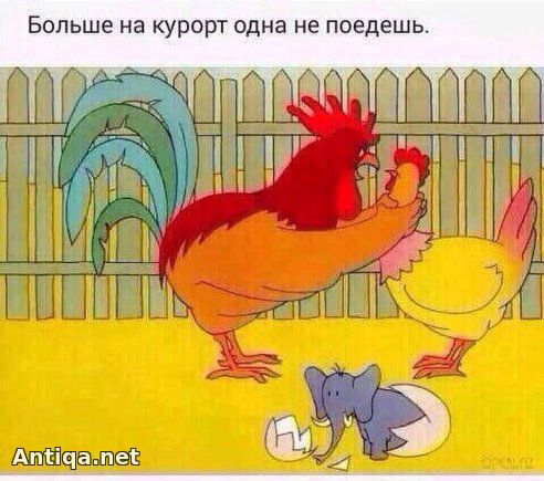 Африкада ғайри оддий ҳодиса юз берибди